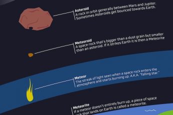 Чем отличаются комета от астероида и метеор от метеорита?
