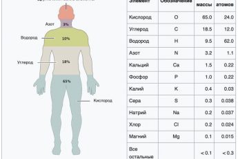 Химический состав человека