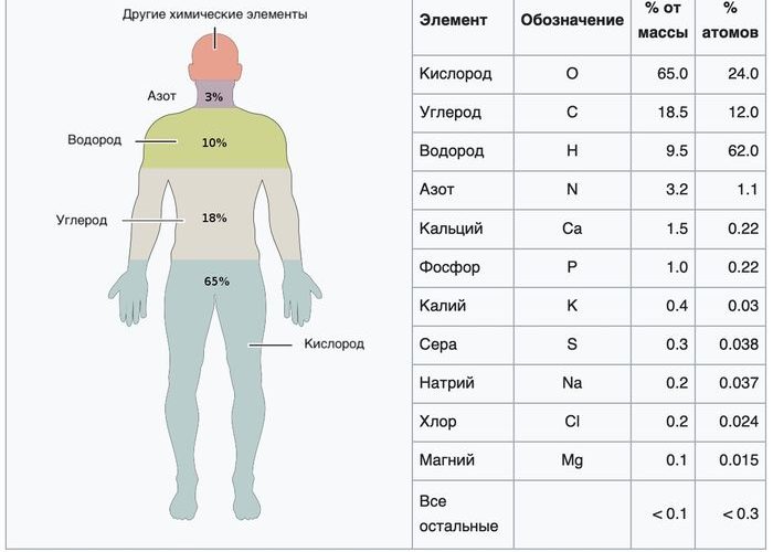 Химический состав человека