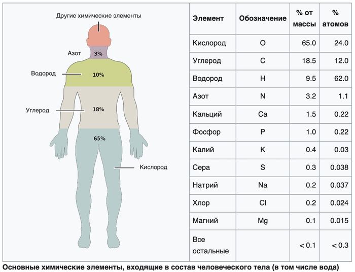 Химический состав человека