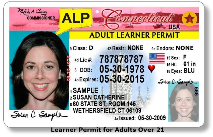 Learner's Permit - учебное разрешение на вождение