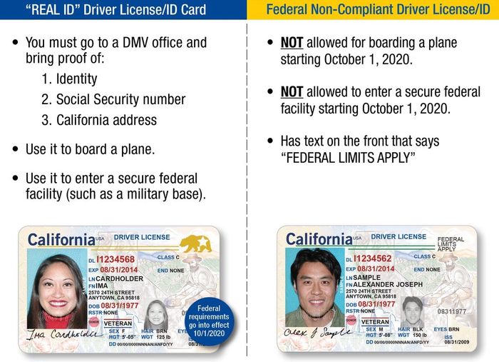 После 2020 года в США вводят новые водительские права REAL ID